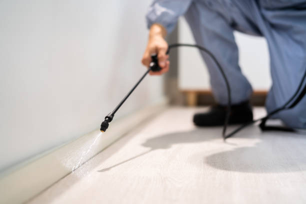 Rodent Entry Point Assessment in North Tonawanda