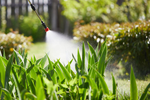 Tamper-Resistant Bait Stations for Rodents in North Tonawanda